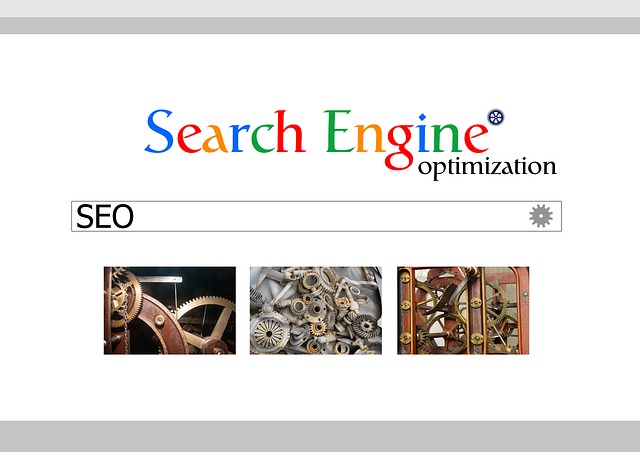 vyhledávač s nápisem Search Engine Optimalization